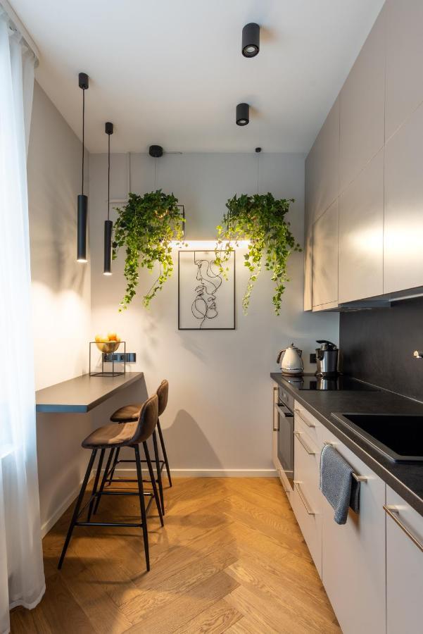 Old Town Apartment L Self Check In VNO Extérieur photo